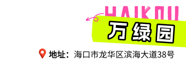 清凉一夏海南度假 | 坐“萝卜快跑”悠悠逛海口~