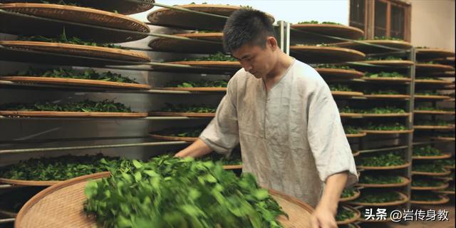 12位首批国非遗武夷岩茶制作技艺传承人