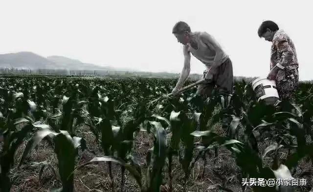 1982年，我爸把铁饭碗让给了二叔，如今二叔一家却要养我们三代人
