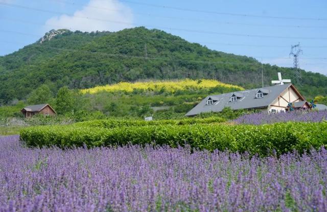 金普景区淡季调整指南请查收！这些景点已闭园，别跑空