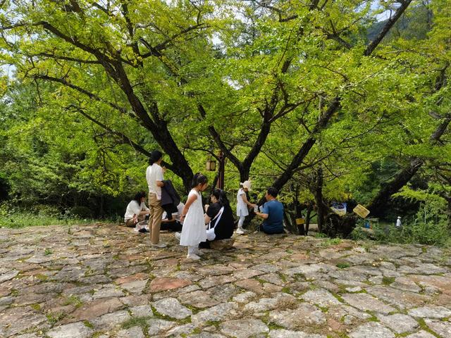 邀您共度金秋佳节 | 六盘水市妥乐古银杏景区“双节”系列活动精彩纷呈
