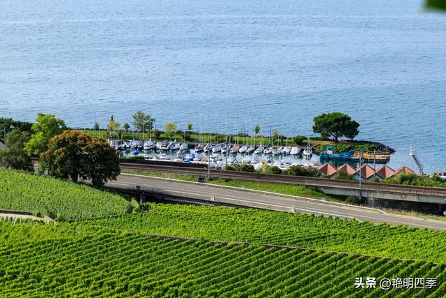 欧游杂记（2）‖ 日内瓦湖畔的美丽：从日内瓦到蒙特勒