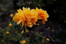6句温暖治愈正能量文案，句句有力量，发朋友圈秒被赞值得你收藏图片