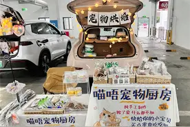 “吸猫”“撸狗”兴起背后，宠物经济成新“淘金地”图片
