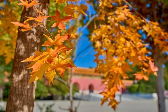 太全面了！8条游玩线路+京郊汤泉！带您玩转北京这里！（1）