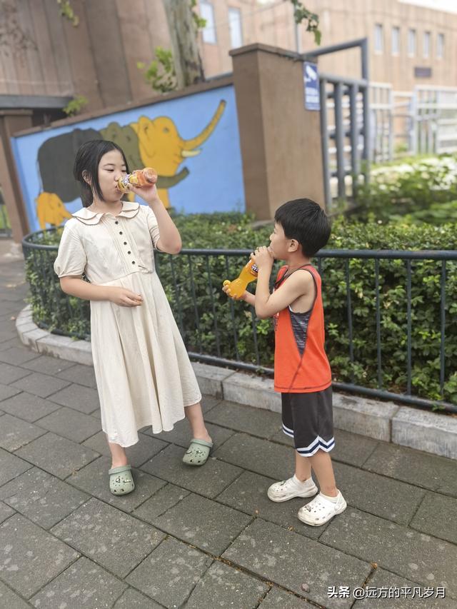 我的八月
