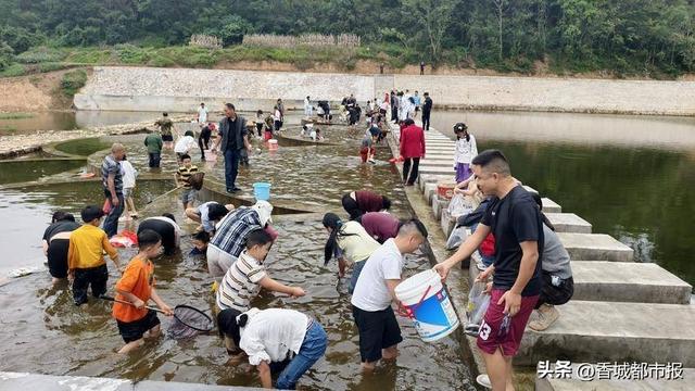 大悟假日文化旅游活动精彩纷呈