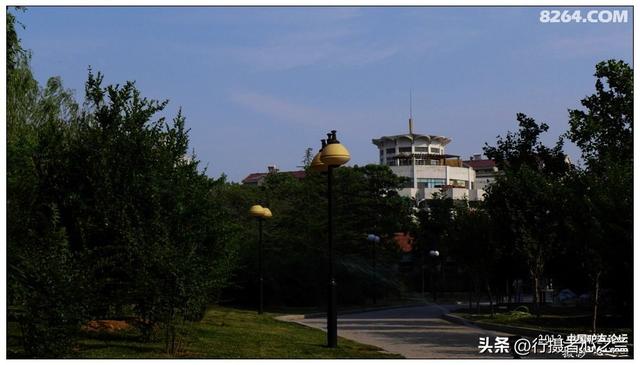 山东行游影记（17）—济南山东大学（四）