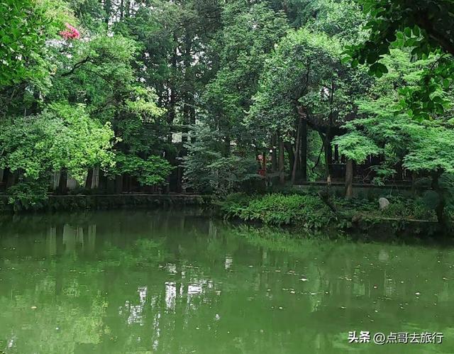 成都清凉避暑胜地，千年前就已闻名，风景如仙境，地铁公交直达！