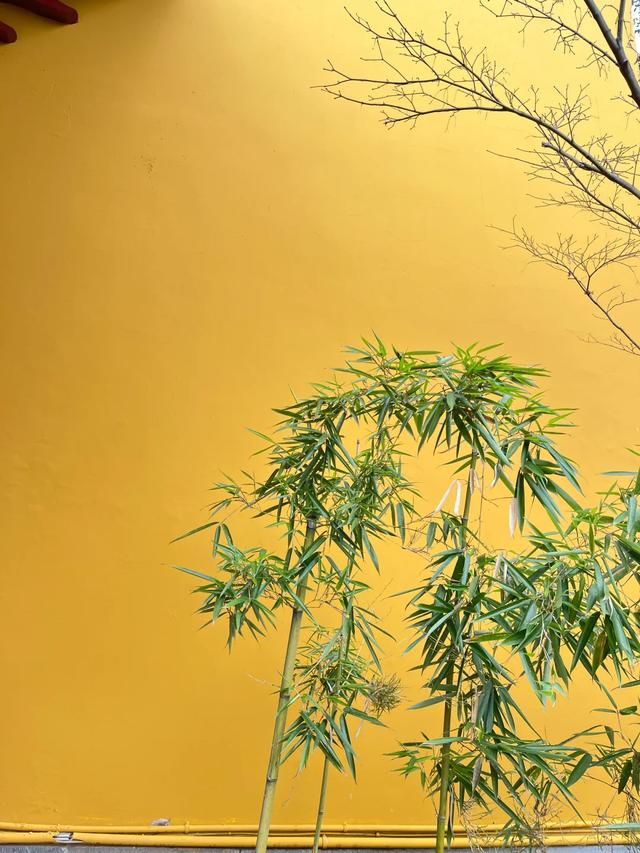 高铁直达!适合中年人旅行的6个城市,争取每年去一个!!