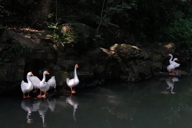 时光里的绍兴：大禹之后，江南之间