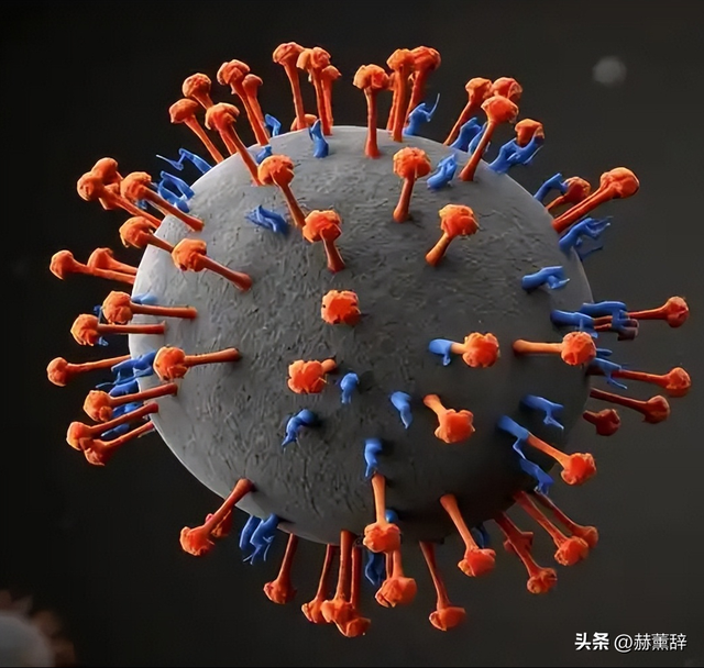 印度爆发尼帕病毒，死亡率达75%	，世界经不起折腾，中国也有病原