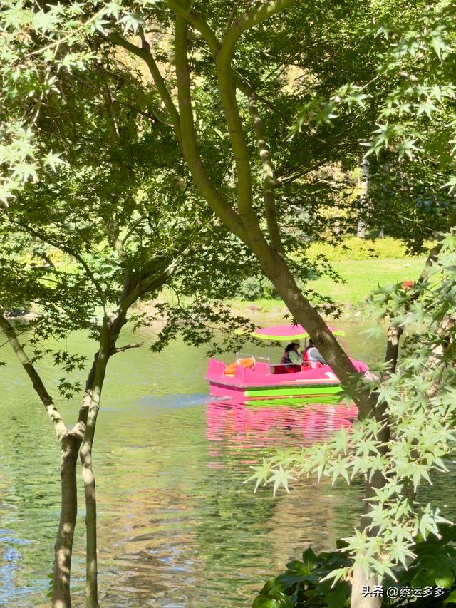 重阳节，上海赏秋之美