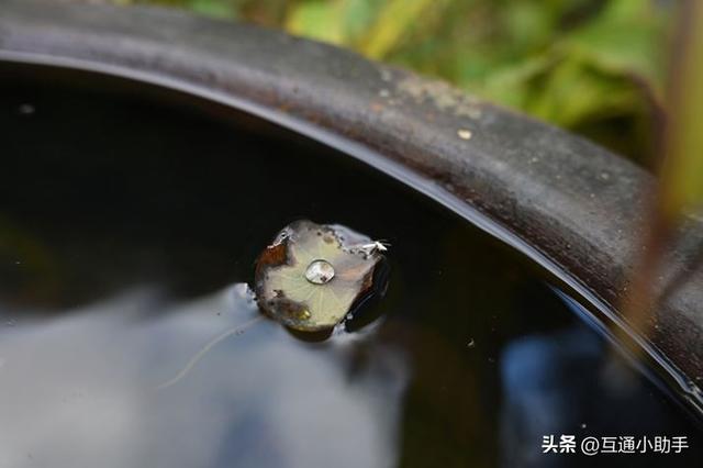 40mm镜头是什么样的？与35mm、50mm镜头有何区别？