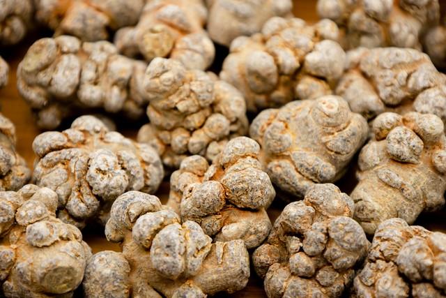 草木皆诗：云南，一座流动的中草药天堂