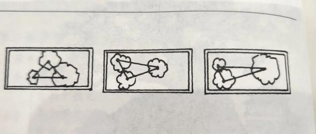 丛林盆景制作技巧｜把“微型森林”搬回家，丛林盆景这么做超简单