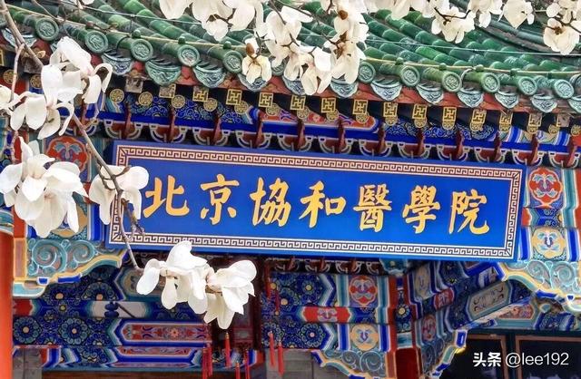 细赏王府系列之—雨中协和（49）《13》