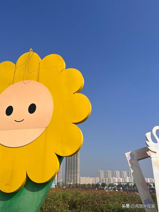 南昌马兰圩公园，七彩花海拍照太美了！