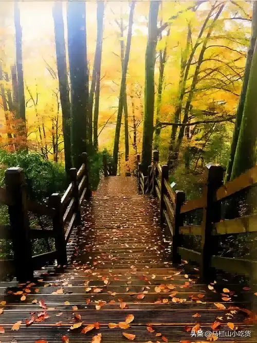 四川巴中光雾山旅游 |打卡 一场绝美的山水之旅！