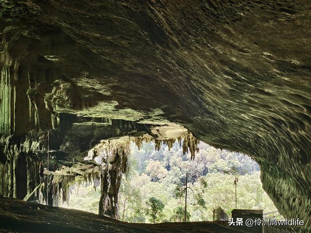 马来西亚(32)砂拉越州⑥世界遗产尼亚洞窟探险