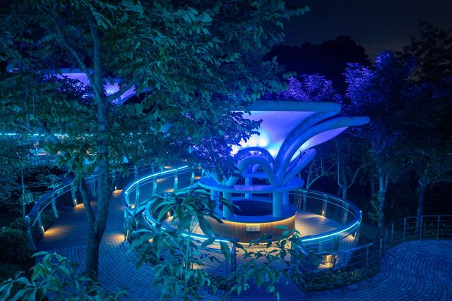 广州亲子研学，夜游植物园，走进大自然的夜课堂