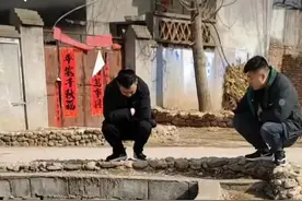 村头游走，无事玩狗！全国女婿来丈母娘家都是统一状态？图片