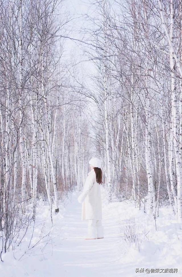 漠河六景漫游指南：从白桦林到驯鹿园，解锁极北冰雪童话