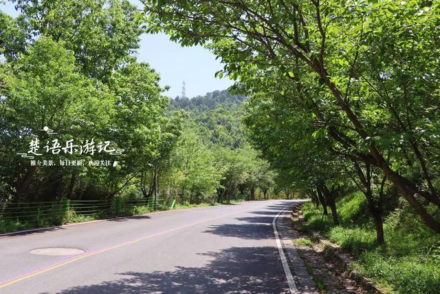 宁波这两座水库相距仅千米，之间藏着多条绿道和茶咖空间，都很美