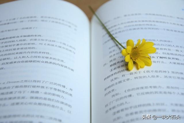 我的积极心理学公式RRC/2026第一篇小记（10.20-1.31）