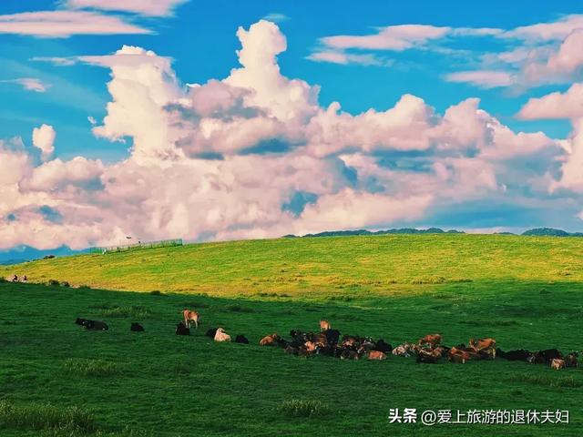 云南保山市：腾冲是它的代管县级市，市府所在的隆阳区也值得游玩