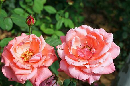 情感爆文：爱是信任	，不是占有，是心心念念的彼此牵挂