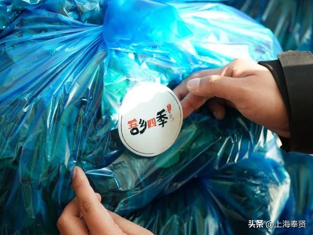 ​​诗游五四村：来一场诗词与金色田园​的浪漫邂逅
