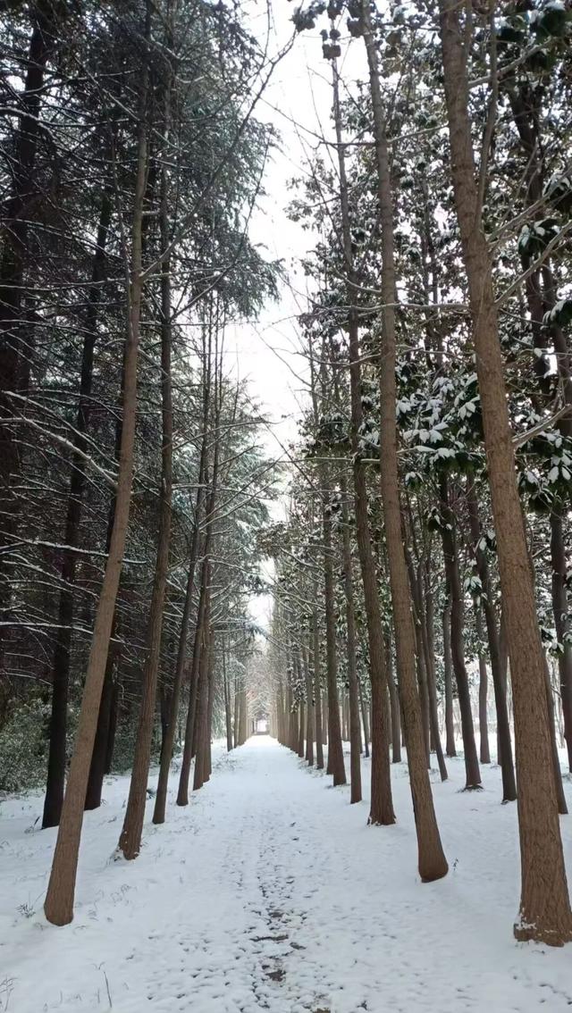 雪覆长河：城市凝固的诗意