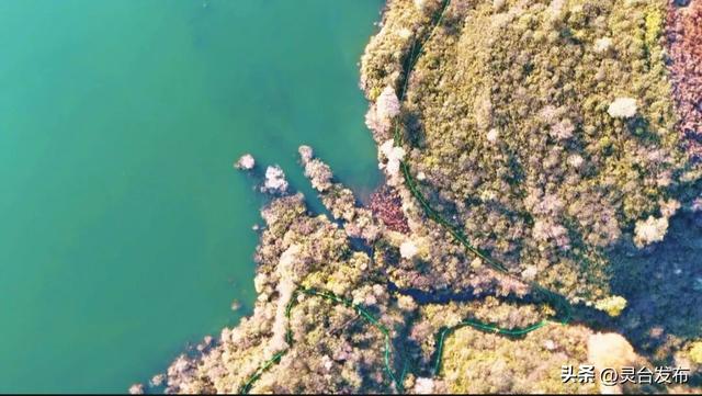 把灵台秋韵的山水诗意 都藏进这个秋天里