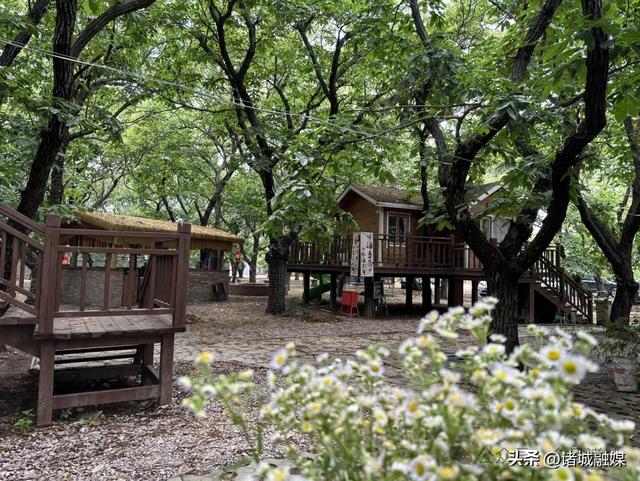 诸城22处宝藏露营地全攻略，安营山水间！