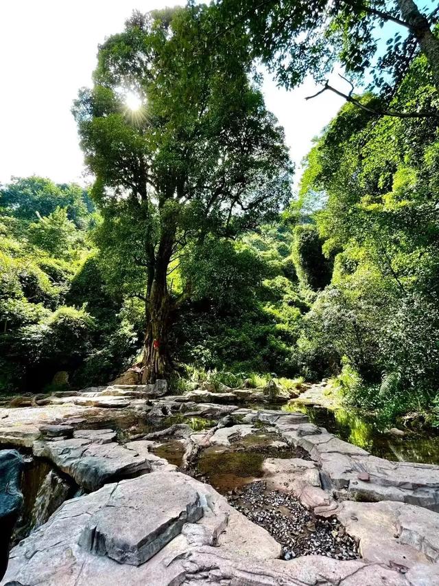 逛密祉元宵灯会，这些景点别错过！