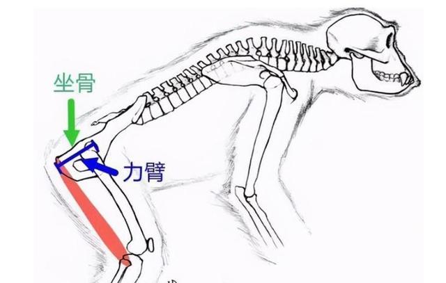 站桩总没进步？5个关节辅助功法，帮你打通身体瓶颈
