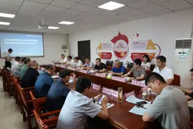 和襄高速最新进展来了图片