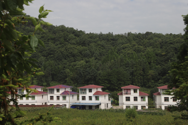 【建设一流旅游城市 建设世界级旅游景区】住进山水清凉地 解锁烟火慢生活——安顺避暑“旅居热”持续升温
