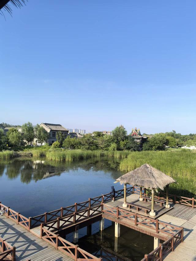 来到蓬莱 你就是仙