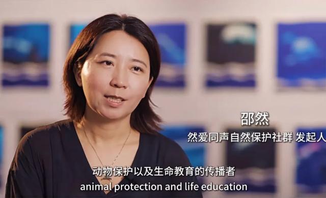 “华南第一女训鲸师”消失的十年：被白鲸拖下水后	，她选择亲手拆穿海洋馆的残酷真相