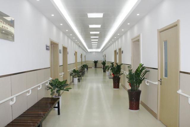 男子被马踹下体后续，没买票被骂活该，景区推卸责任，今重新开业