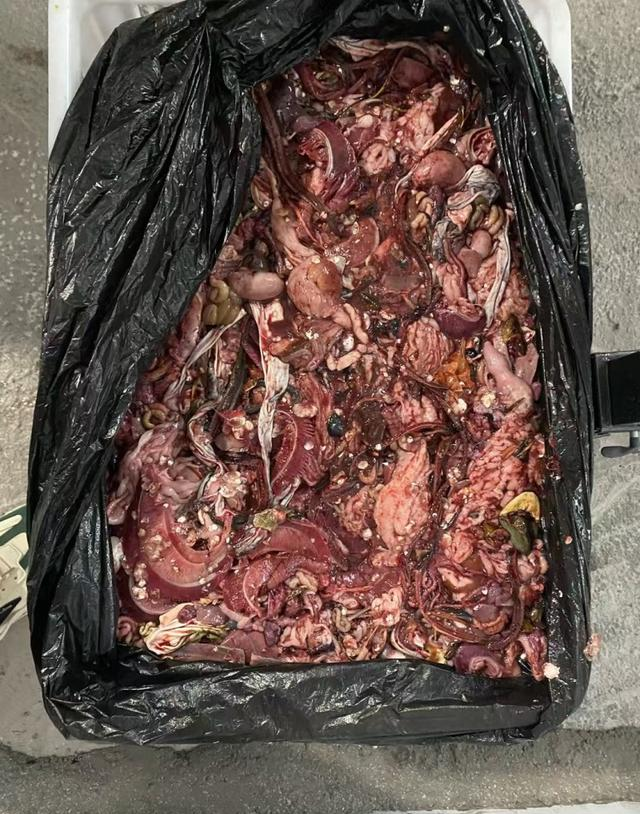 不起眼的废东西别扔！埋进花盆里，花蹭蹭长，比施肥猛10倍