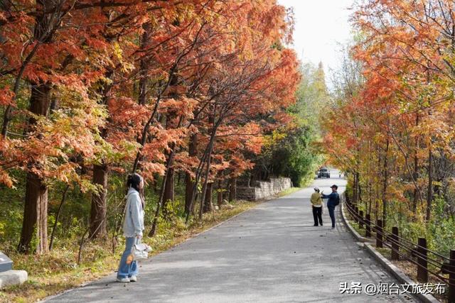 【乐游烟台】烟台绝美赏秋地即将封山，别错过