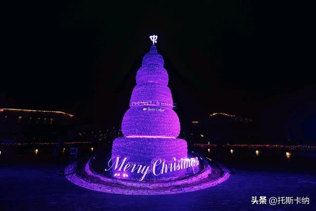 幻紫圣诞 · 奇境飞驰