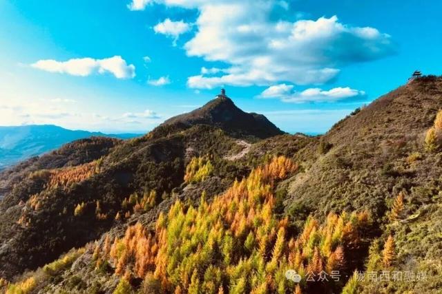 西和：云华山云海与林海重叠变幻美不胜收