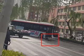 山东临沂一摊贩将盆栽摆满整条路，躺地上阻止公交车通过，派出所：已出警处理图片