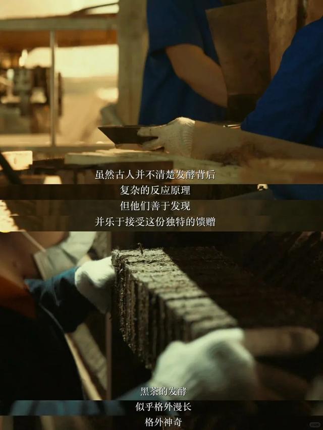 又找到一个小众秘境，在湖南也能避暑？真的没骗你！
