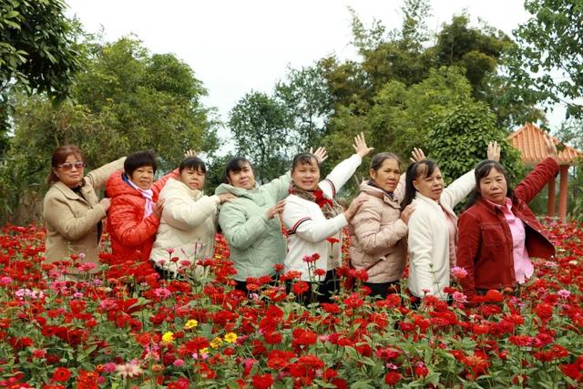 柳江藏了个宝藏地！花海邂逅热气球，浪漫又出片