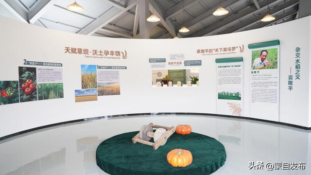 蒙自市草坝镇粮食文化展厅揭牌启用